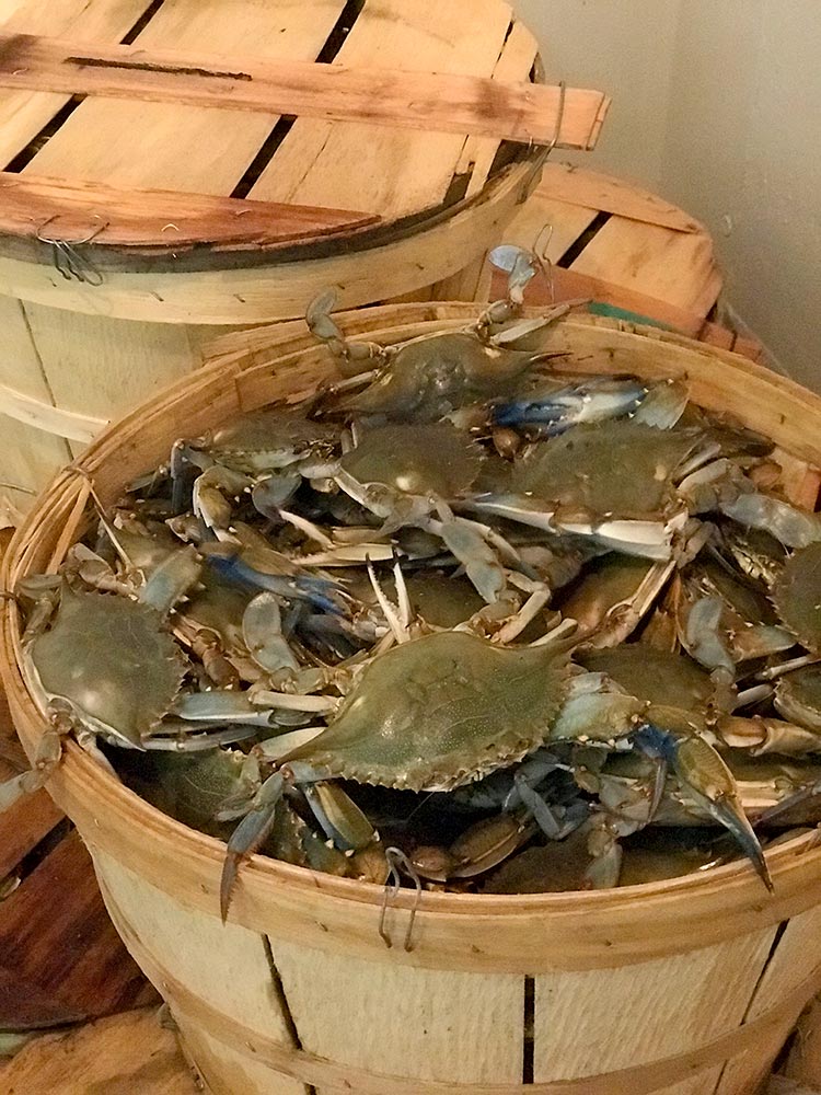 Carolina Fish Fry ⭐SEAFOOD FEAST, Flounder, Crab, Oysters, Scallops